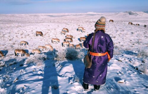 photos mongolie camille 1