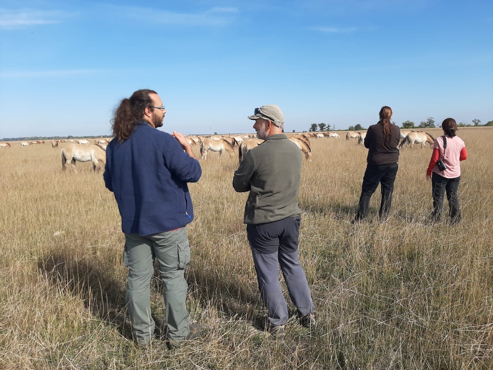 Takh L'équipe de TAKH est en Hongrie - Association pour le cheval de Przewalski