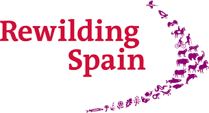 Logo Rewilding spain