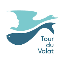 Logo tdv