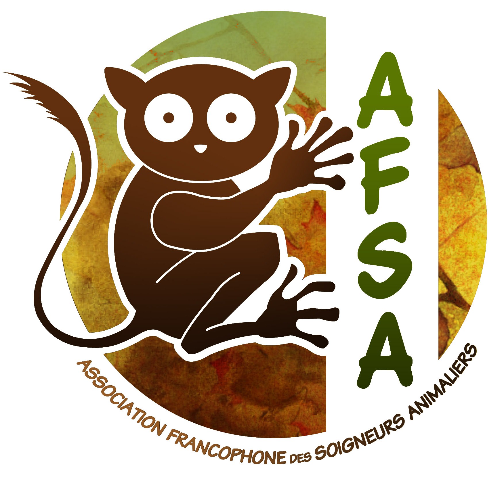 logo-afsa-final2
